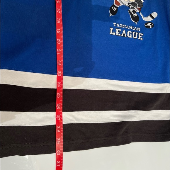 Vintage Warner Bros. Ice Demons Tazmanian League Hockey Jersey Mens XL - Picture 8 of 8